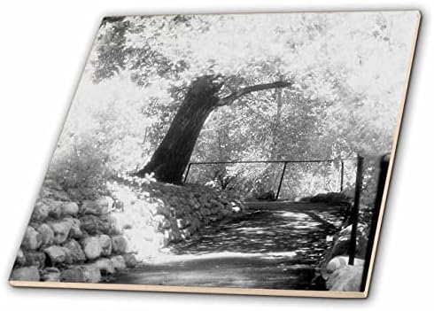 3D - Страхотен инфрачервена фотография пътеки, покрити с дръвчета - теракот (ct_356544_1)