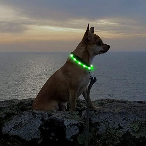 HIGO Light Up Нашийници за кучета - Акумулаторна батерия led нашийник за кучета, Светлинен нашийник за Кученца, led Силиконов нашийник за домашни любимци, Мигащи куче светлини за нощни разходки (зелен)
