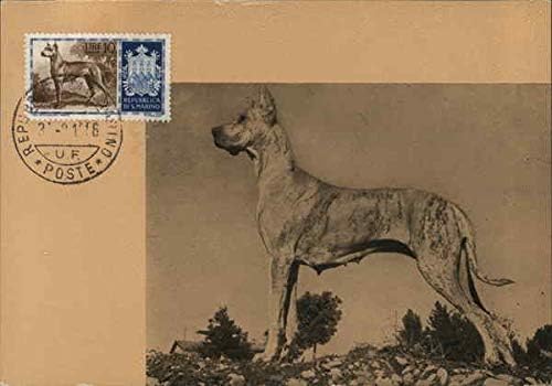 Куче Фауна, Датски Максималните Картички Оригиналната Реколта Картичка