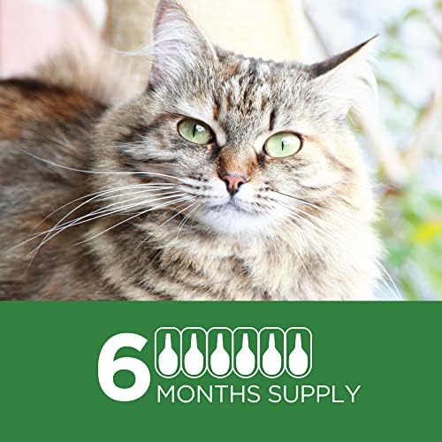 Препарат против бълхи TevraPet Actispot II за котки | 6 месечни дози | Мощна профилактика и контрол на